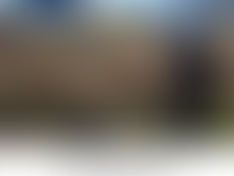 Man Killed, Mother and Child Hospitalized in Dog Attack on Katy Walking Trail