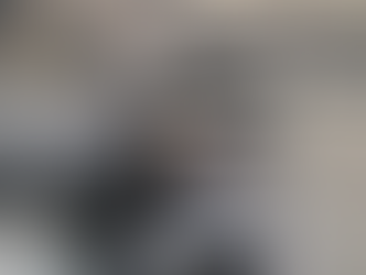 Stray Kitten Survives Ride in Car Engine from Katy to Downtown Houston