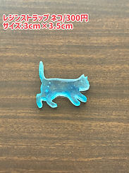 photo-output_2.JPEG