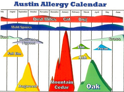 allergy-calendar.bmp
