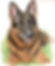 CUSTOM - PET PORTRAIT - SOLD