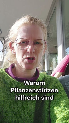 Warum Pflanzenstützen hilfreich sind im Garten und am Balkon