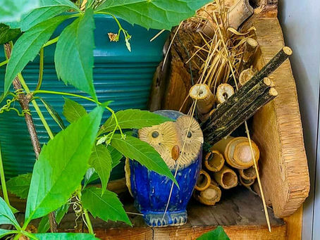 Nisthilfen für Wildbienen aus Naturmaterialien