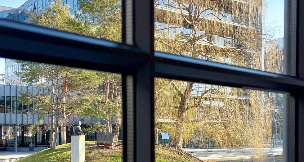 Pflanzenbegegnung Es grünt so grün im Viertel 2