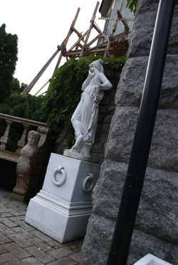 DSC_0313.jpg