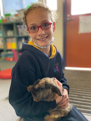 Rewards - Jemma Rabbit.png