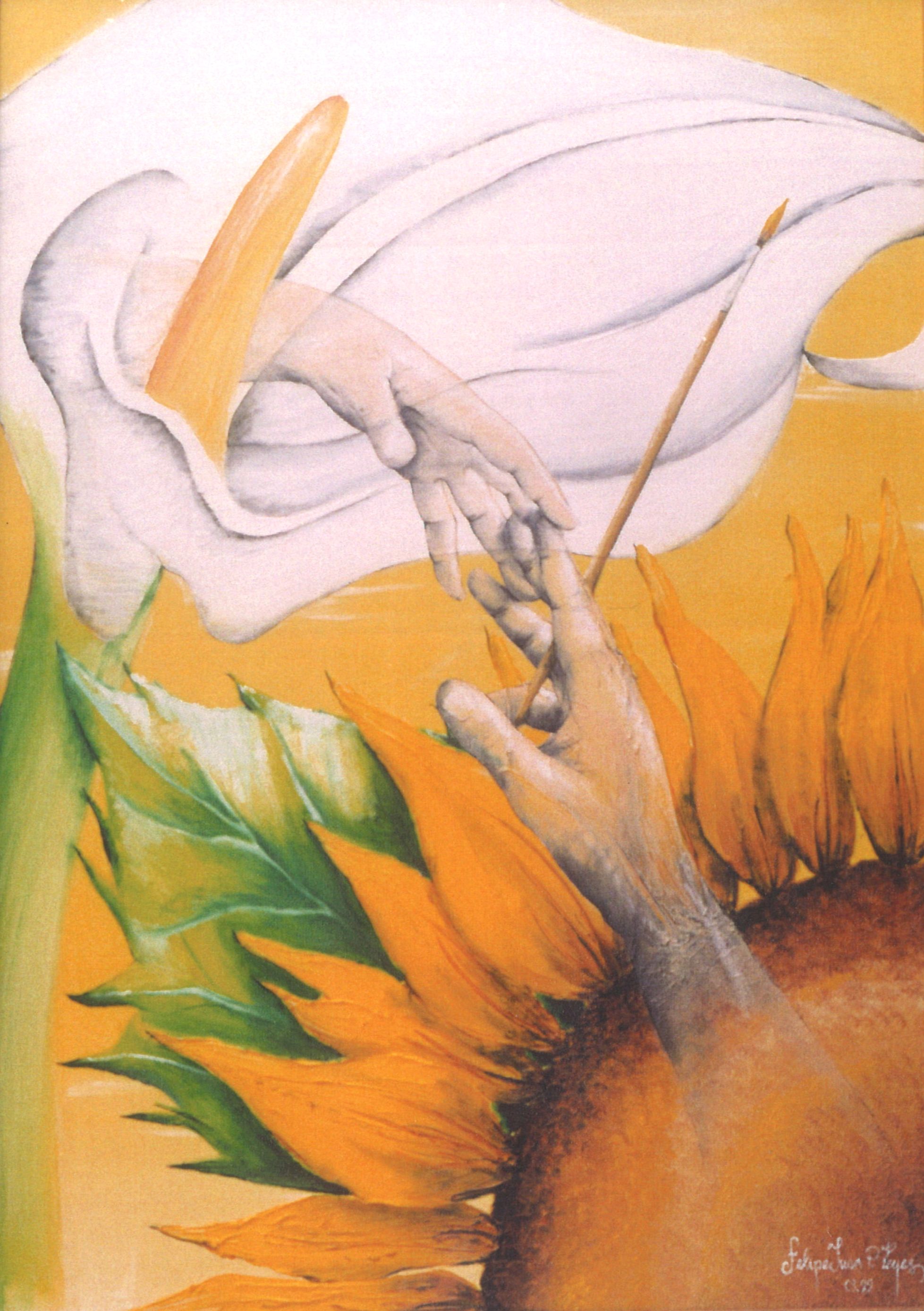 1 (10)Cala y Girasol