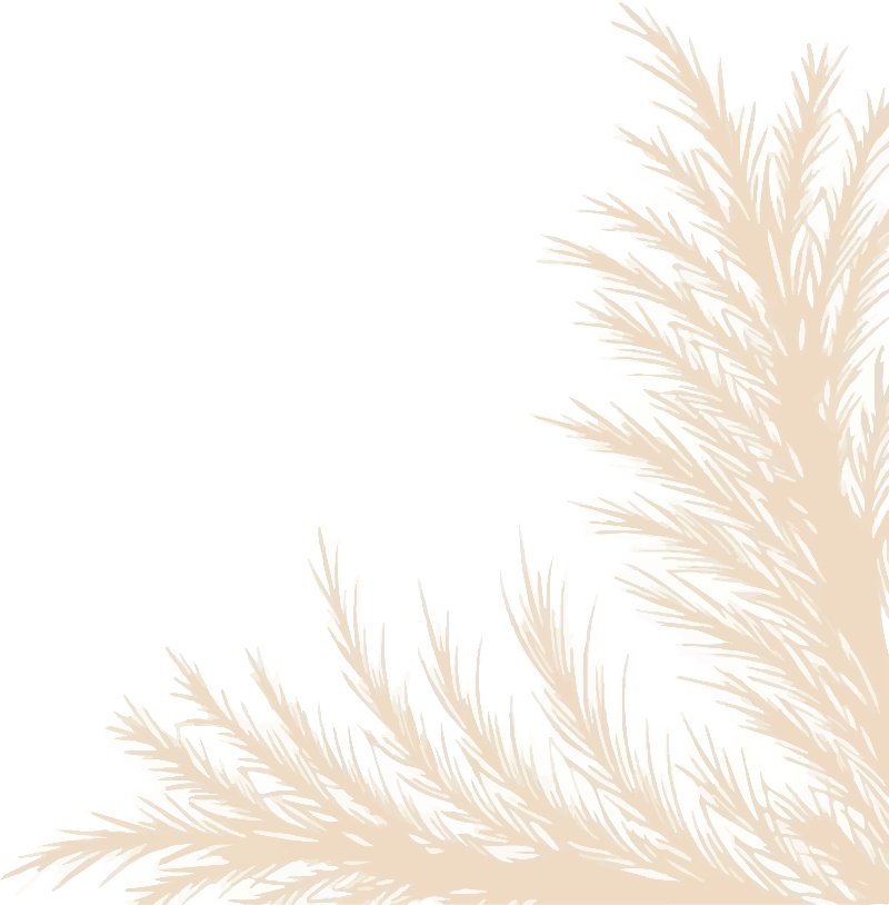 pampascorner_2x_edited.png