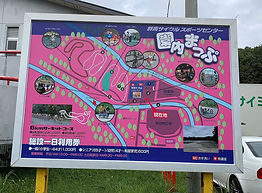 IMG_3765.jpeg
