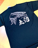 IMG_0196.jpeg