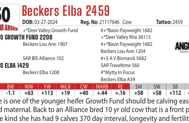 2459 EPD 1-30-25.jpg