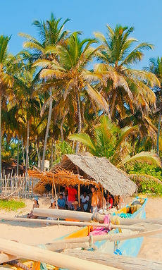 fisherman11.jpg