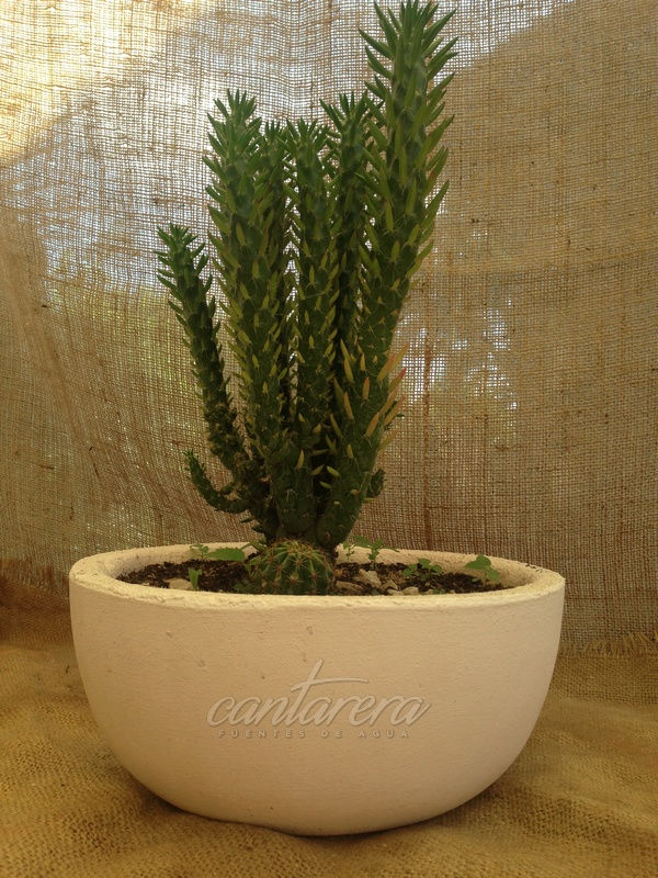 Miniatura: Cementina 2611