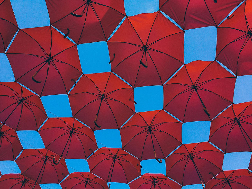 mario-gogh-Yz9rpx3kiE8-unsplash.jpg