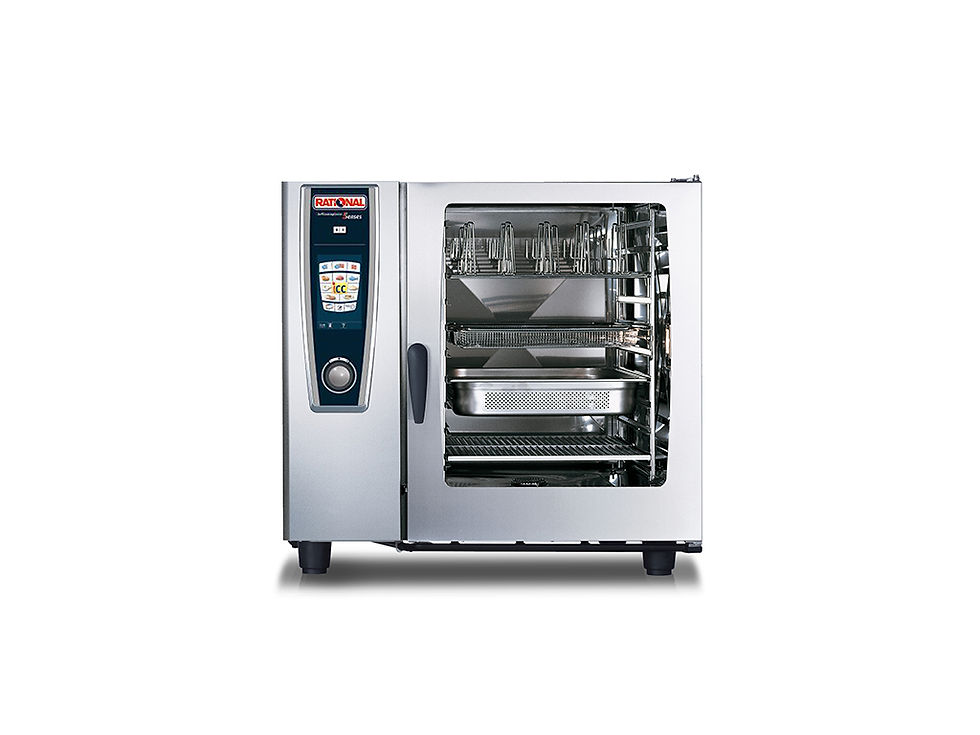 SelfCooking Center 102