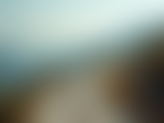 Career Journey: Achievements and Lessons Learned