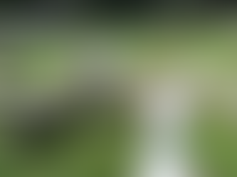 What Is The DOG? Inside New York’s Premier Board & Train