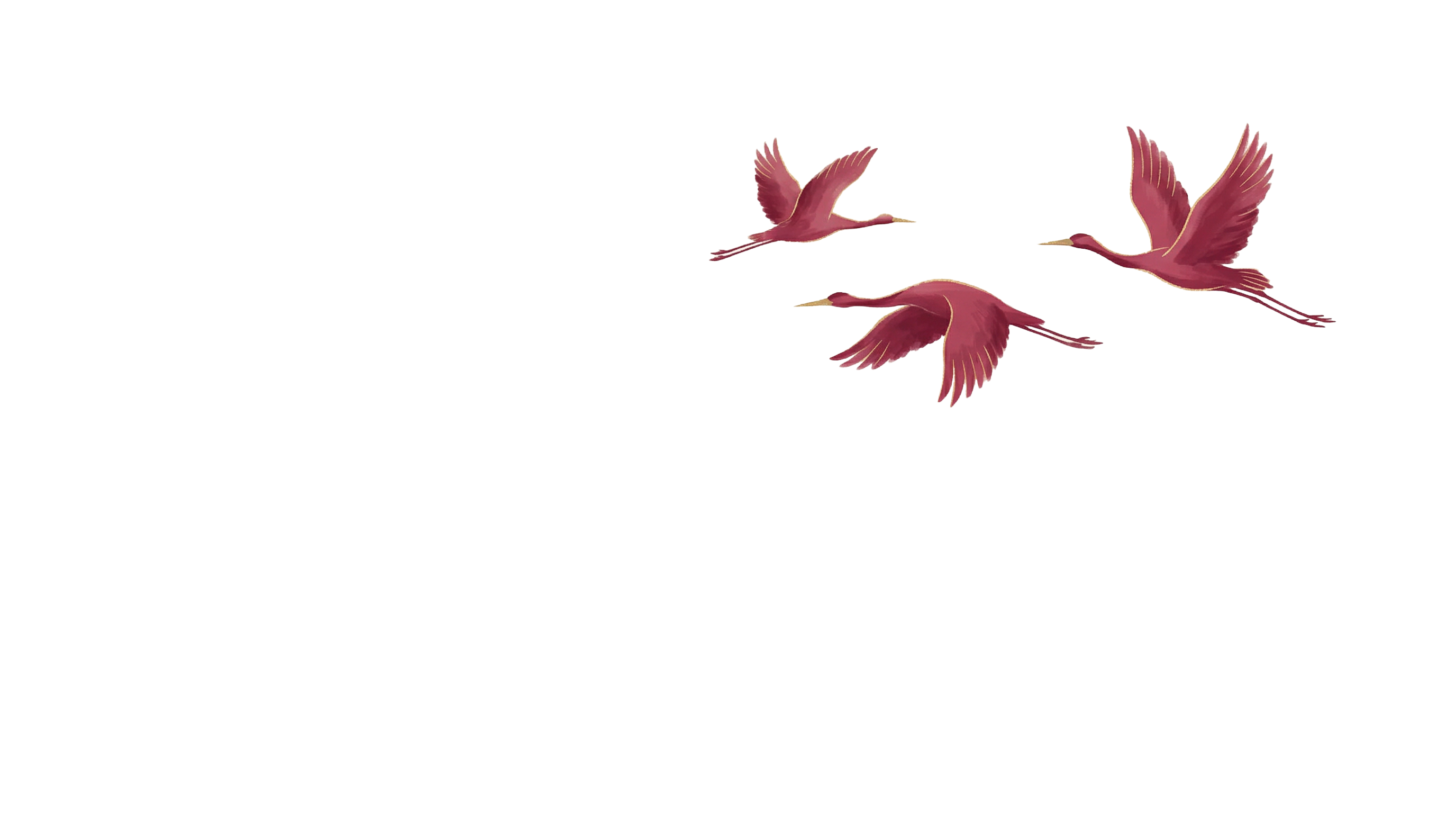Birds.png