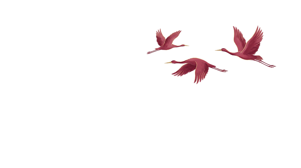 Birds.png