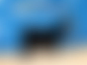 2026 National Western Stock Show's Junior Angus Show