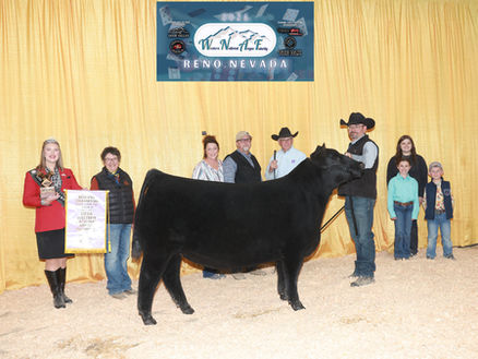 2026 Western National Angus Futurity (WNAF) Super Point Roll of Victory (ROV) Show