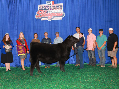 2026 National Junior Angus Show (NJAS)