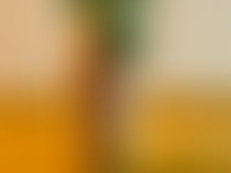 colorful ballet shoe on a wooden floor. Green bells around the ankle