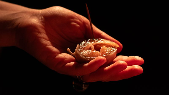 COMPOST-Cena d’artista