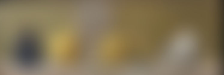 Palazzo Esposizioni ospita la mostra "In umbra et luce" di Pierluigi Isola