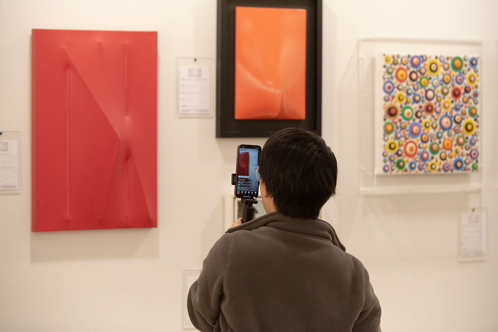 Visitatore Lucca Art Fair