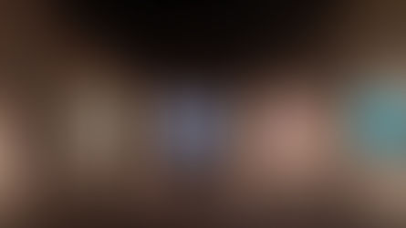 Antonio Scaccabarozzi – Diafanés. The exhibition at the Fortuny Museum in Venice