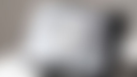 IDENTITIES BEYOND BORDERS. The dialogue between human beings and nature in the works of the Farnesina Collection