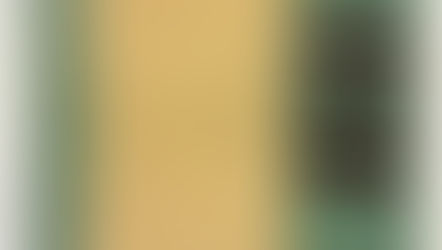 Annie Shead, Front garden, 80x80, 2025