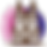 CERFUTE_BASILIQUE.png