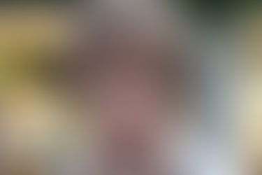 Supporting the homeless