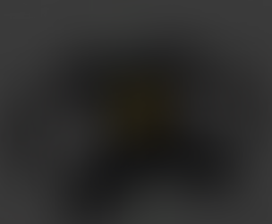 Development of JAUDIO logo