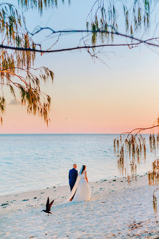 ERIN \u0026 NICK | HERON ISLAND, GREAT BARRIER REEF DESTINATION WEDDING, image size:320x481