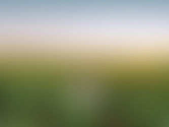 Hollie | Family Photos in the Sunflowers, Central Queensland