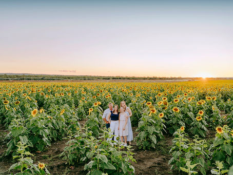 Hollie | Family Photos in the Sunflowers, Central Queensland