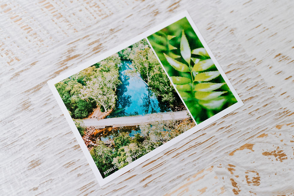 Thumbnail: Nature Photography Postcards