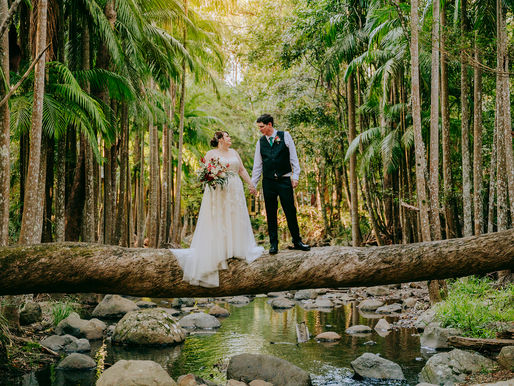 Jess & Ray | Tamborine Mountain Glades (Cedar Creek Lodges) Gold Coast Hinterland Wedding Preview
