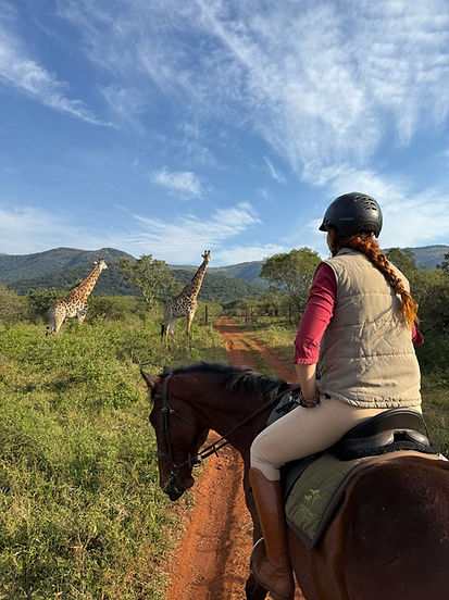 Horse safari volunteer looking at giraffe
