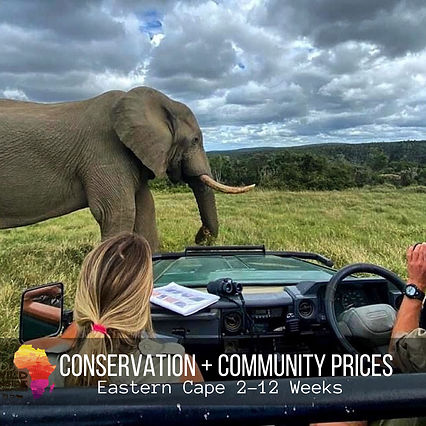 Conservation students with an elephant