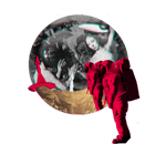 Braga International Video Dance Festival