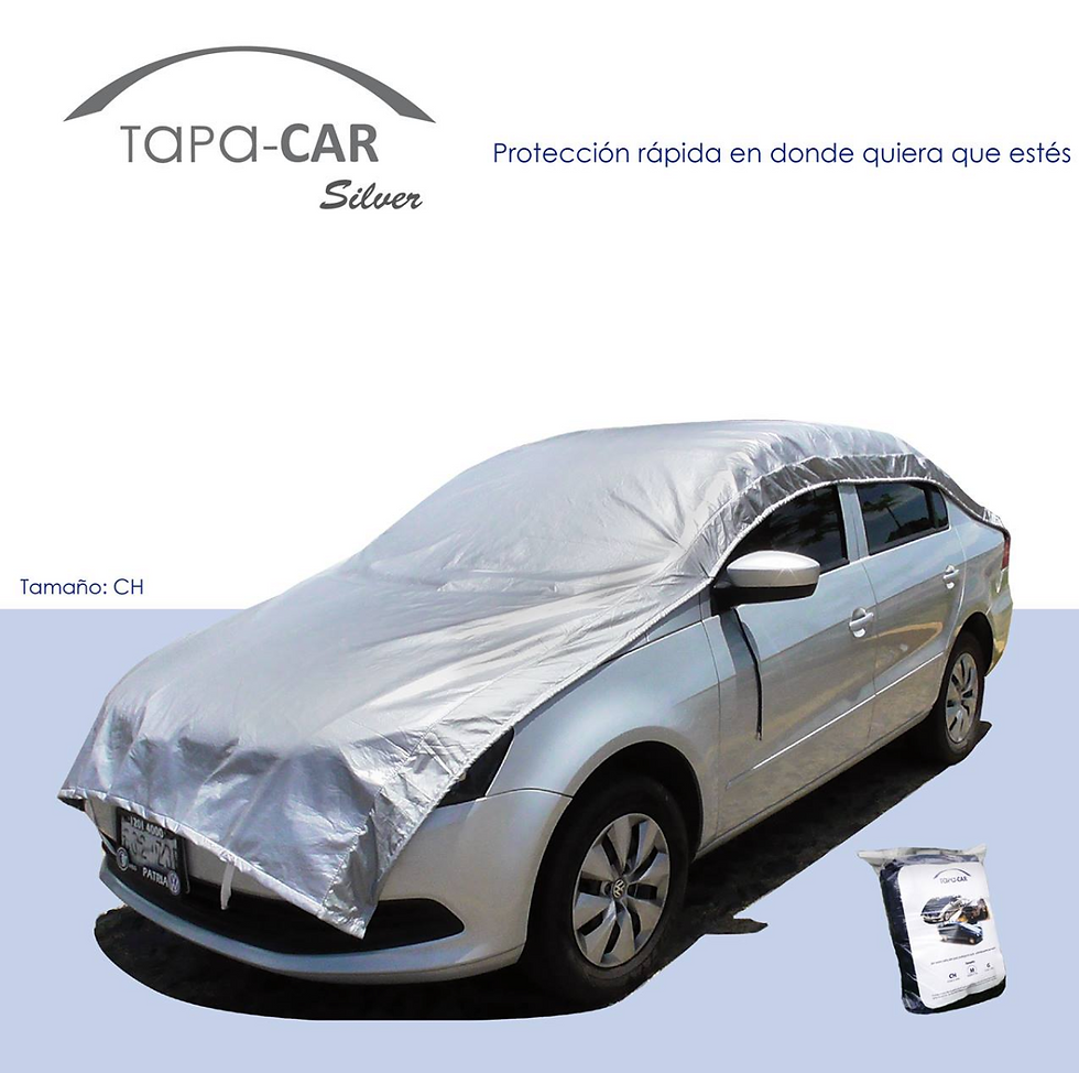 Tapa Car Silver