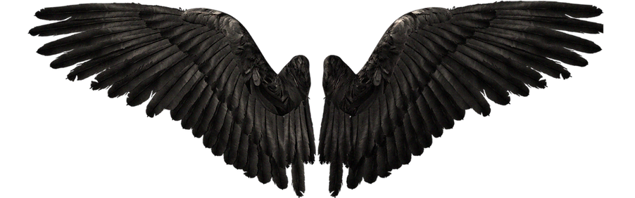 WINGS.png