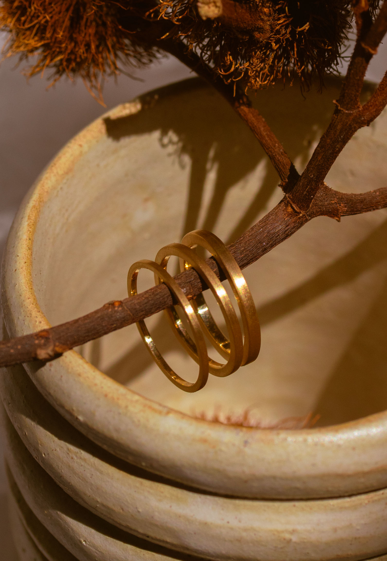 Aliança Quotidiano - Ouro