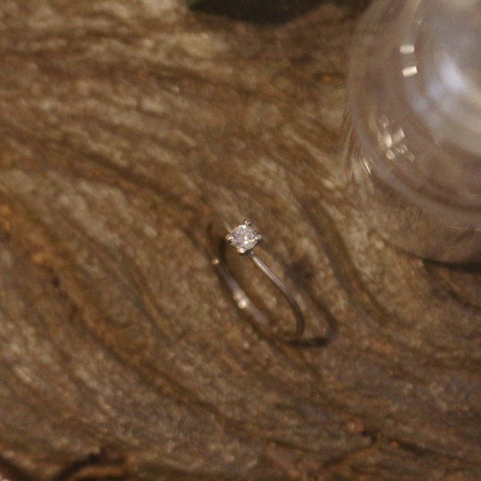 Miniatura: Solitário Entorno II
