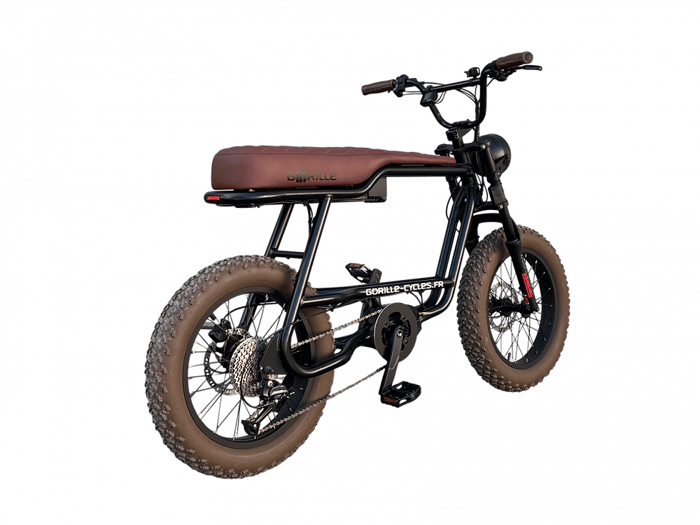 Thumbnail: Le Cadet Gorille