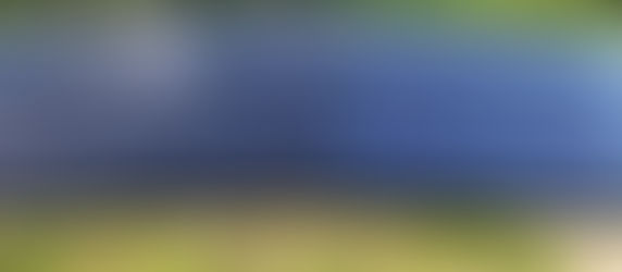 パピアニュ-ギニア702KW太陽光発電所という案件は